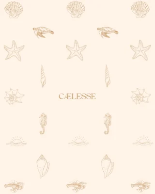 Instagram post from caelesse. This post is in position 3.